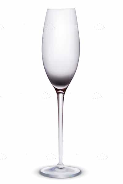 Illustrated Champagne Glass